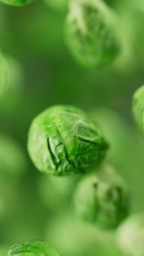 Animation of a group of brussels sprouts. Defocus. Close-up. Stock Footage 313287372