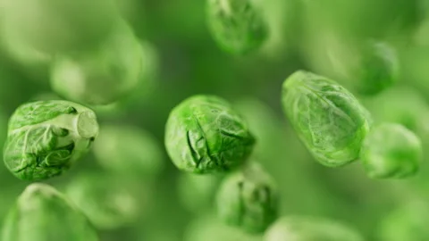 Animation of a group of brussels sprouts. Defocus. Close-up. Stock Footage 315522077