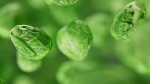 Animation of a group of brussels sprouts. Defocus. Close-up. Stock Footage 322017333