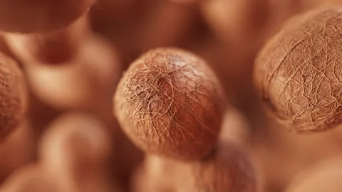 Animation of a group of coconuts. Defocus. Close-up. Stock Footage 308074672