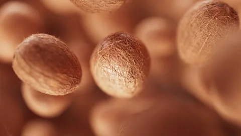 Animation of a group of coconuts. Defocus. Close-up. Stock Footage 309334225