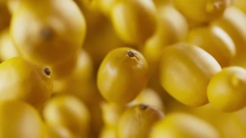 Animation of a group of lemons. Defocus. Close-up. Stock Footage 310795011