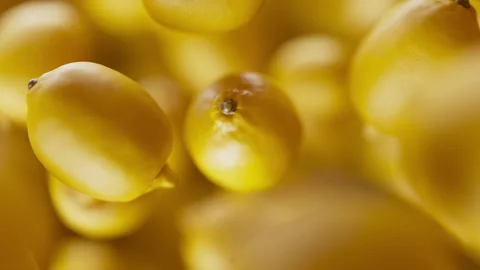 Animation of a group of lemons. Defocus. Close-up. Video stock 312577141