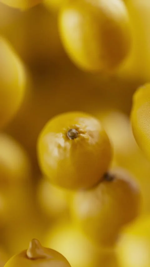 Animation of a group of lemons. Defocus. Close-up. Stock Footage 313288935