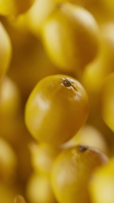 Animation of a group of lemons. Defocus. Close-up. Stock Footage 314044725