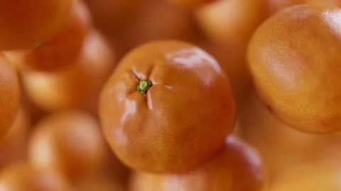 Animation of a group of mandarin. Defocus. Close-up. Stock Footage 308076528