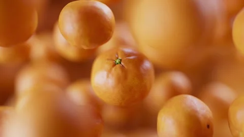 Animation of a group of mandarin. Defocus. Close-up. Stock Footage 310795042