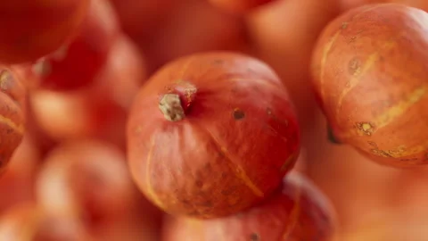 Animation of a group of pumpkins. Defocus. Close-up. Stock Footage 309335757