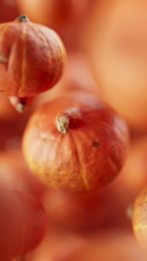 Animation of a group of pumpkins. Defocus. Close-up. Stock Footage 310795122