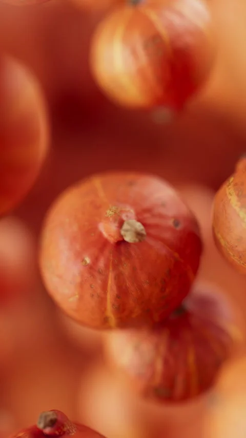 Animation of a group of pumpkins. Defocus. Close-up. Stock Footage 314045239