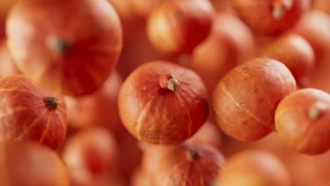 Animation of a group of pumpkins. Defocus. Close-up. Stock Footage 315525538