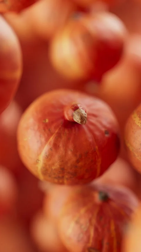 Animation of a group of pumpkins. Defocus. Close-up. Stock Footage 317501681