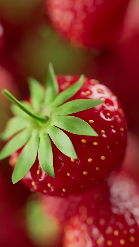 Animation of a group of strawberry. Defocus. Close-up. Stock Footage 309336099