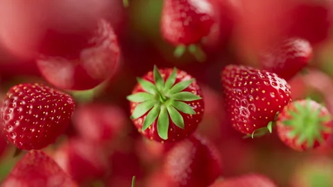Animation of a group of strawberry. Defocus. Close-up. 스톡 동영상 310795325