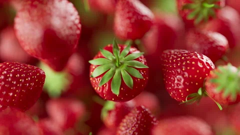 Animation of a group of strawberry. Defocus. Close-up. Video stock 312578111
