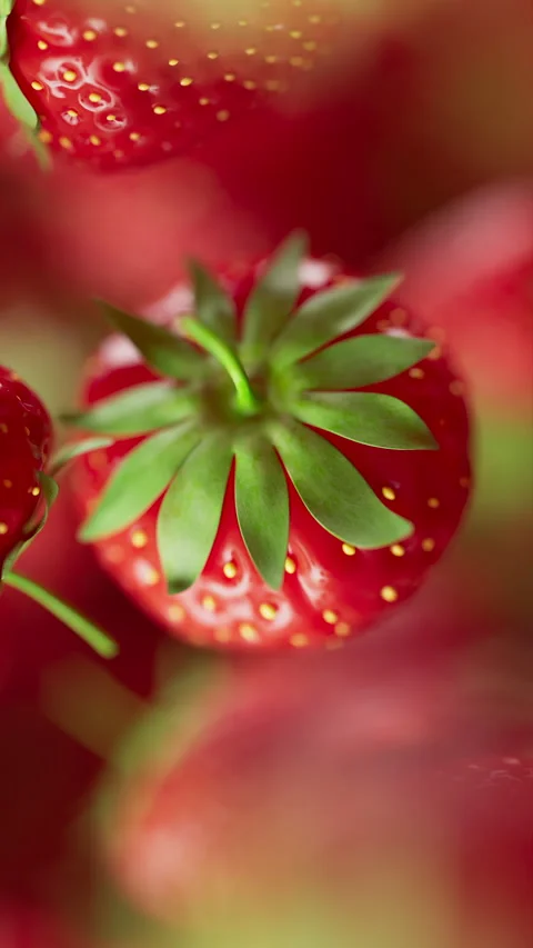 Animation of a group of strawberry. Defocus. Close-up. Stock Footage 313289191