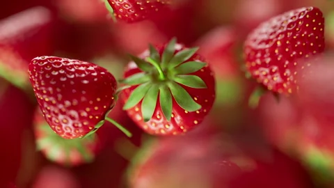 Animation of a group of strawberry. Defocus. Close-up. Stock Footage 315527976