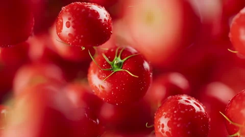 Animation of a group of tomato. Defocus. Close-up. Stock Footage 310795382