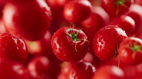 Animation of a group of tomato. Defocus. Close-up. Video stock 312112671