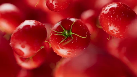 Animation of a group of tomato. Defocus. Close-up. Video stock 312578250