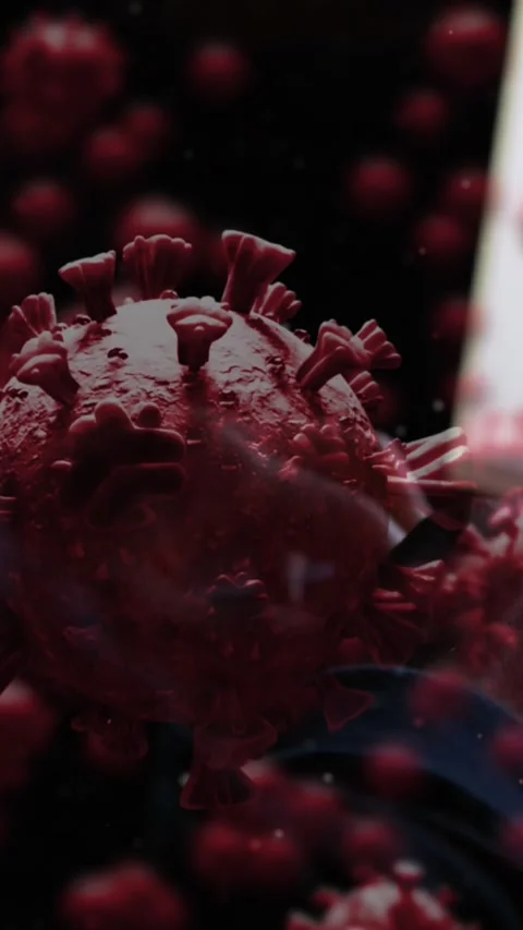 Animation of a hacker hooded man on a computer over a macro coronavirus COVID-19 Stock Footage 342607943