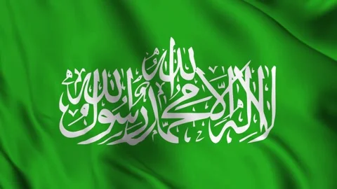 Animation of Hamas flag waving in the wind Stock Footage 311135121
