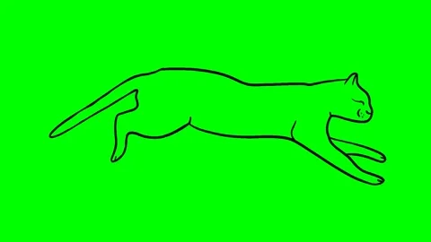 Animation of hand drawing frame by frame in black color of the contour of a cat Stock Footage 156852772
