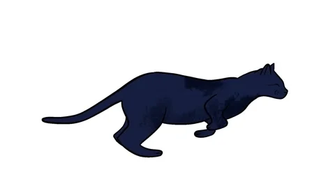 Animation of hand drawing frame by frame in black white of the contour of a cat Stock Footage 156852844