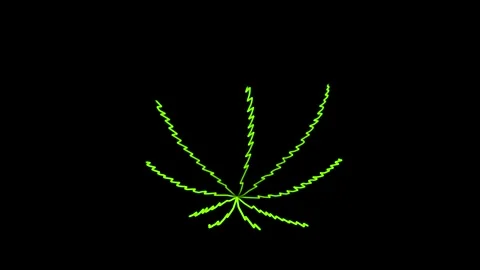 Animation of hand drawn cannabis leaf. Medical marijuana leaf Stock Footage 158431859