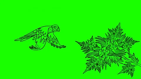 Animation hand drawn frame-by-frame in color of a parrot in flight over a flower Stock Footage 156853773