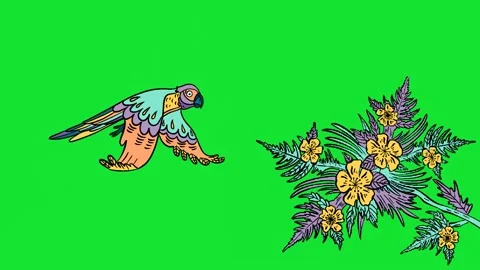 Animation hand drawn frame-by-frame in color of a parrot in flight over a flower Stock Footage 156854547