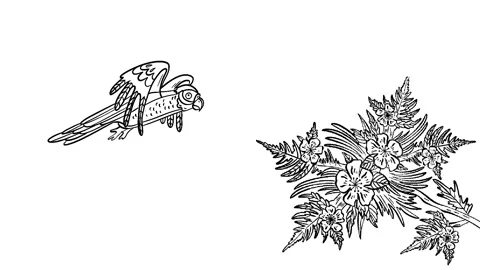 Animation hand drawn frame-by-frame in black color contour of a parrot in flight Stock Footage 220437519