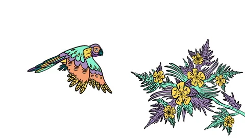 Animation hand drawn frame-by-frame in color of a parrot in flight over a flower Stock Footage 220750133