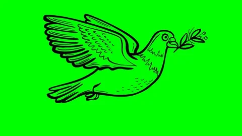 Animation of hand-frame-boom-frame movement in black color of bird Stock Footage 156852657
