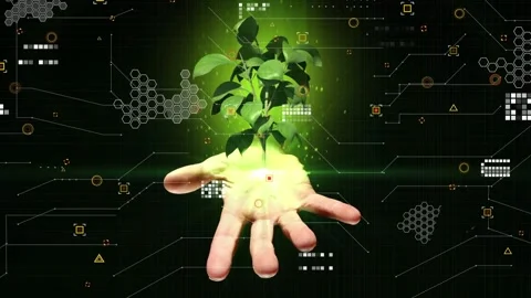 Animation of hand with tree and data processing over dark background Stock Footage 330728182
