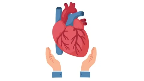 Animation hands holding human heart healthcare concept Stock Footage 340825836