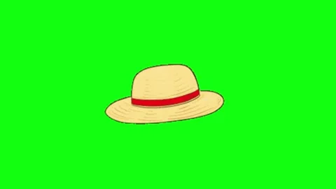 Animation of hat on green screen background Stock-Footage 335523501