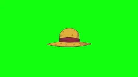 Animation of hat on green screen background Video stock 335523562