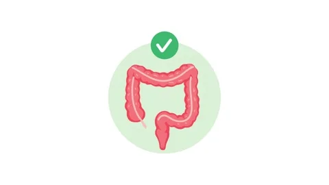 Animation of healthy colon digestive system concept Stock Footage 340879066