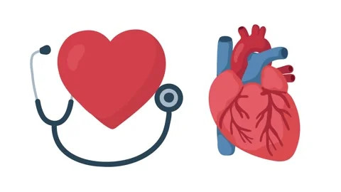 Animation heart icon and human heart anatomy Stock Footage 340825818