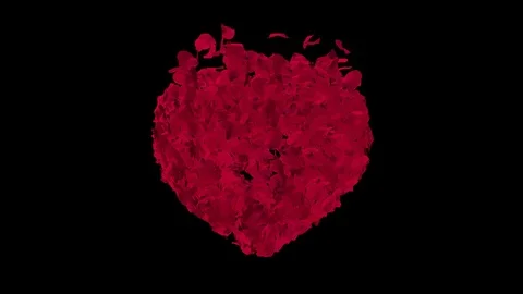 Animation Heart of Red Rose Petals. Heart Shaped Rose Leaves Disperse. Stock Footage 123732086