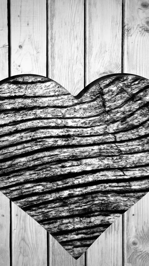Animation of heart shape cut in wood, with moving wood grain pattern, black and Stock Footage 342642399
