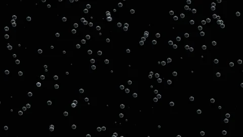 Animation for the holiday. The effect of bubbles rising up. Realistic bubbles Stock Footage 113669835