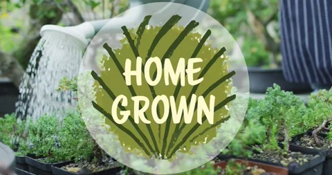 Animation of home grown over midsection of woman watering plats Vídeos de archivo 201593200