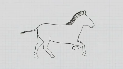 Animation of a horse galloping on a notebook background. Stock Footage 144319159