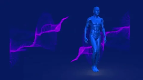 Animation of human body model walking an... | Stock Video | Pond5
