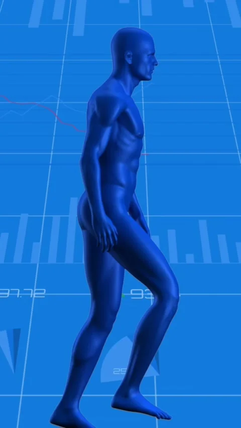 Animation of human body model walking over statistical data processing against Stock Footage 344679144