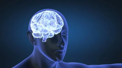 Animation of human brain abstract Stock Illustration