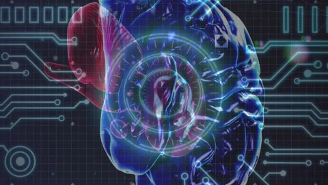 Animation of human brain and circuit board over globe Stock Footage 312762168