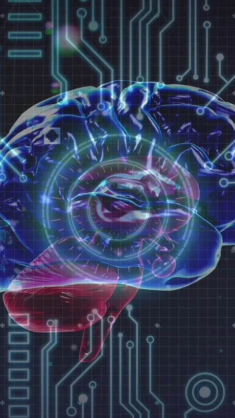 Animation of human brain and circuit board over globe Stock Footage 320215983